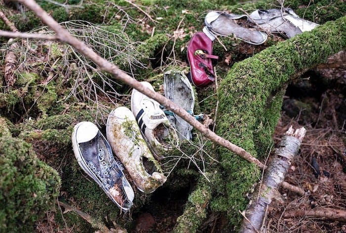 Aokigahara, Giappone. Resti dei morti nella foresta