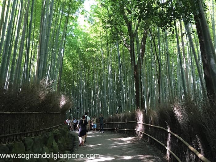 Bosco di bambù ad Arashiyama, Kyoto